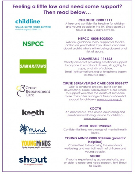 Article >Control your Pet Monster called Anxiety - image