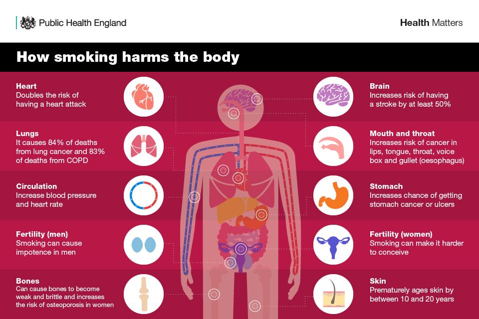 Article > Good Things Happen When You Stop Smoking