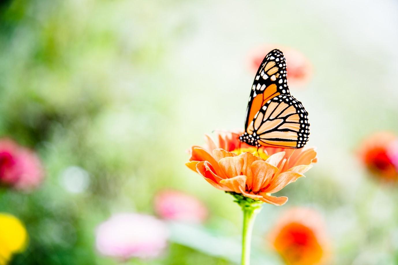 Image > Neurodiversity Uncovered